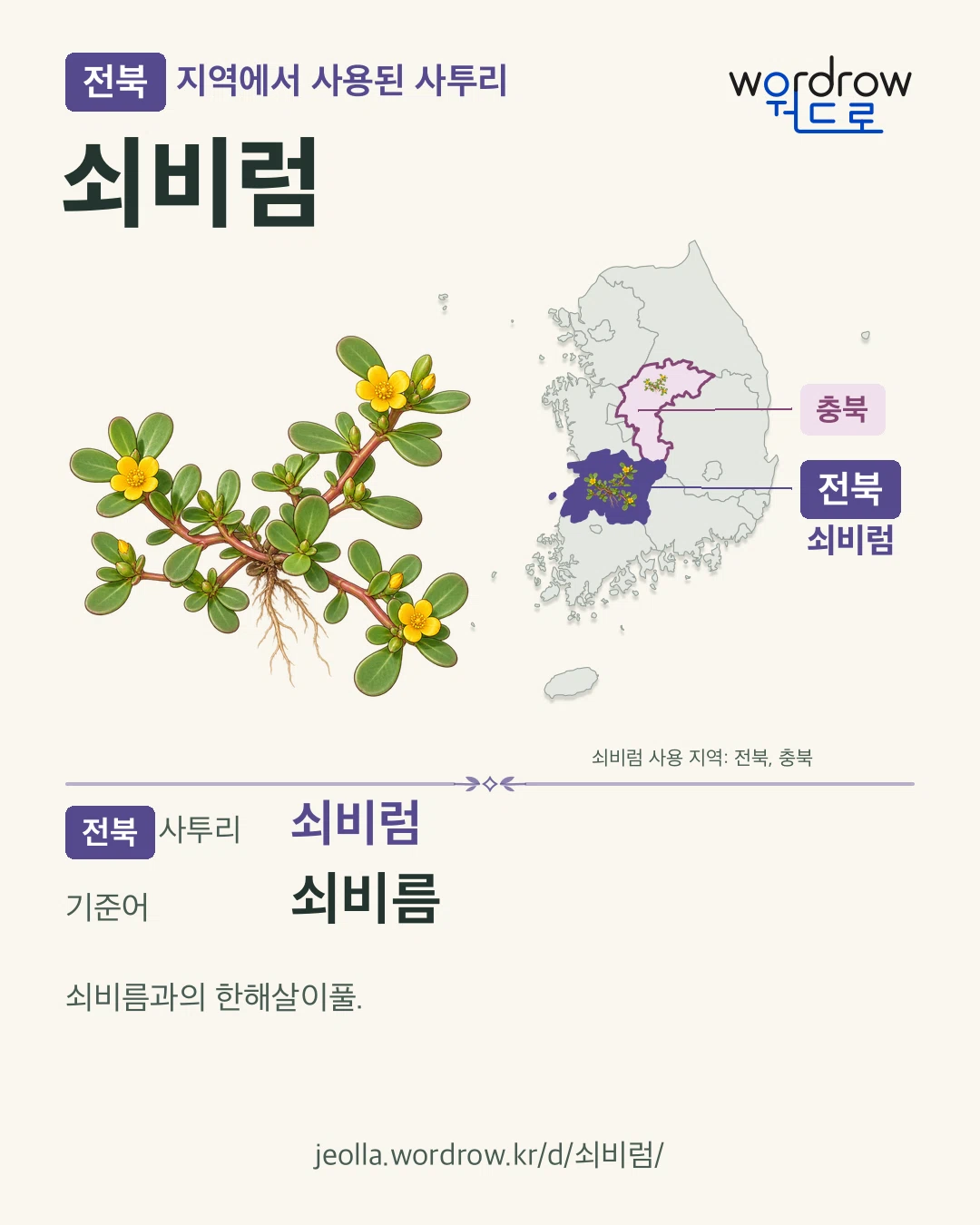 전북 지역에서 사용된 사투리 ‘쇠비럼’. 기준어: 쇠비름. 기록 지역을 표시한 카툰 삽화와 지도 카드.