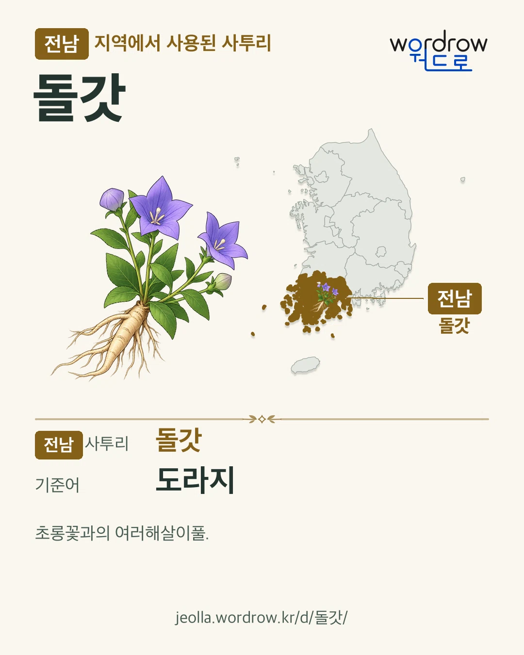 전남 지역에서 사용된 사투리 ‘돌갓’. 기준어: 도라지. 기록 지역을 표시한 카툰 삽화와 지도 카드.