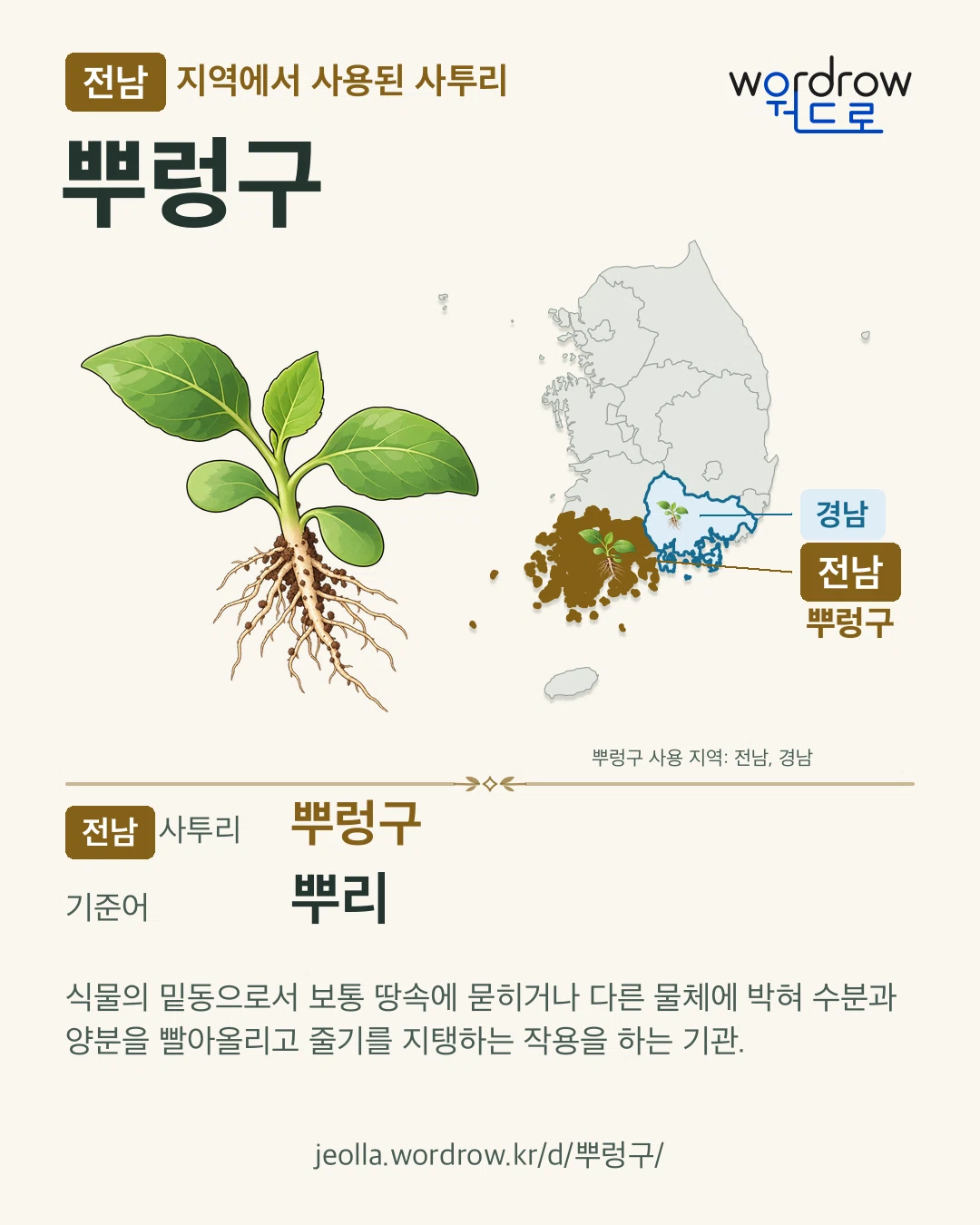 전남 지역에서 사용된 사투리 ‘뿌렁구’. 기준어: 뿌리. 기록 지역을 표시한 카툰 삽화와 지도 카드.
