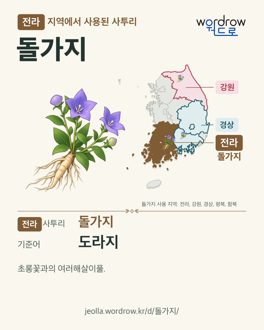 전라 지역에서 사용된 사투리 ‘돌가지’. 기준어: 도라지. 기록 지역을 표시한 카툰 삽화와 지도 카드.