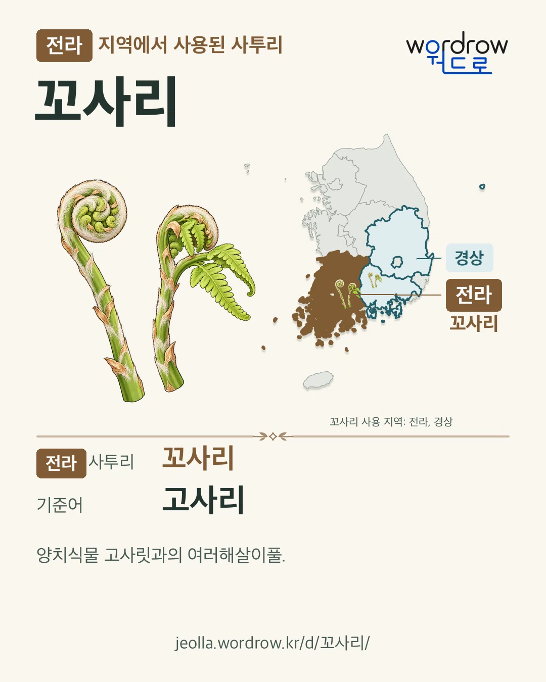 전라 지역에서 사용된 사투리 ‘꼬사리’. 기준어: 고사리. 기록 지역을 표시한 카툰 삽화와 지도 카드.