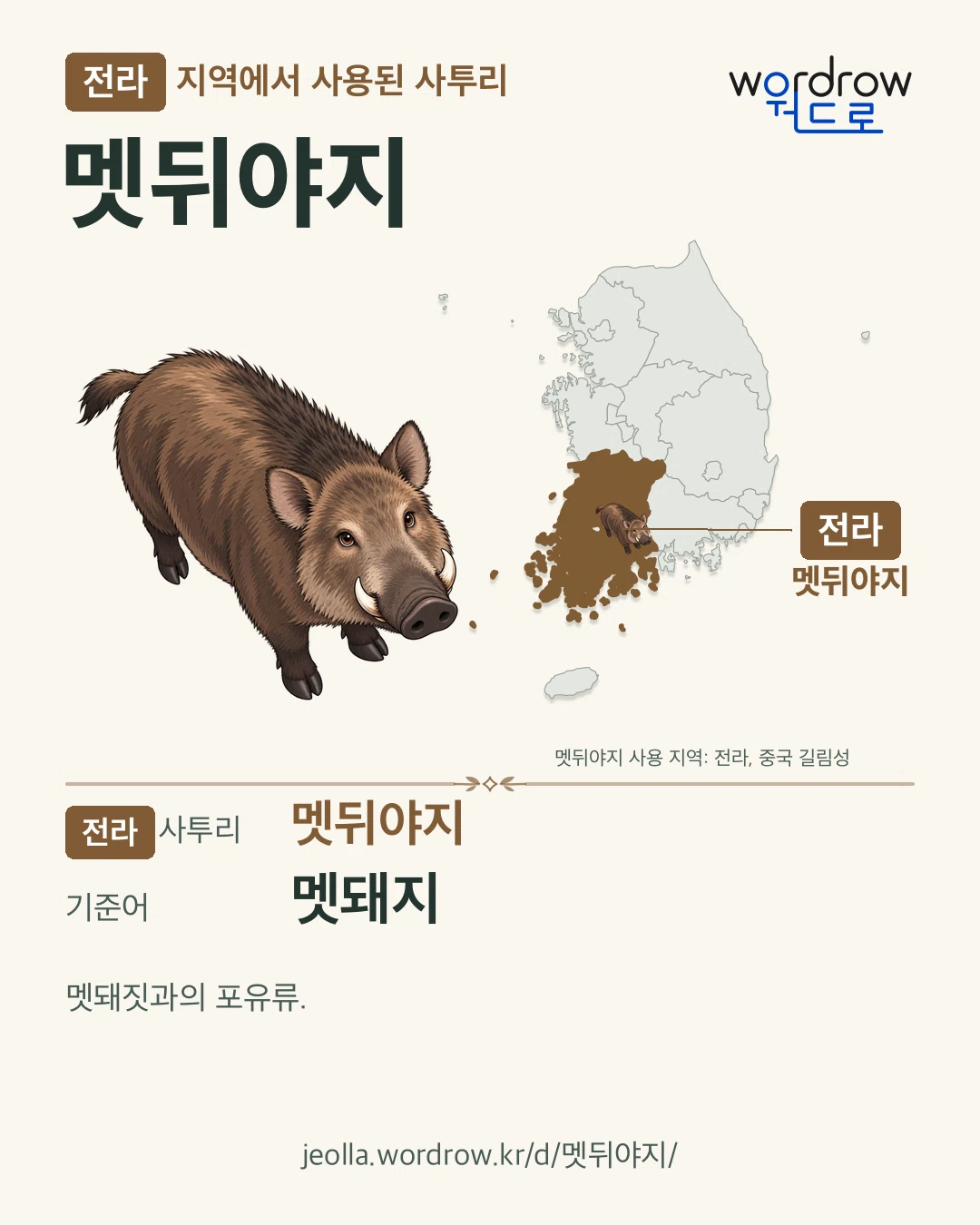 전라 지역에서 사용된 사투리 ‘멧뒤야지’. 기준어: 멧돼지. 기록 지역을 표시한 카툰 삽화와 지도 카드.