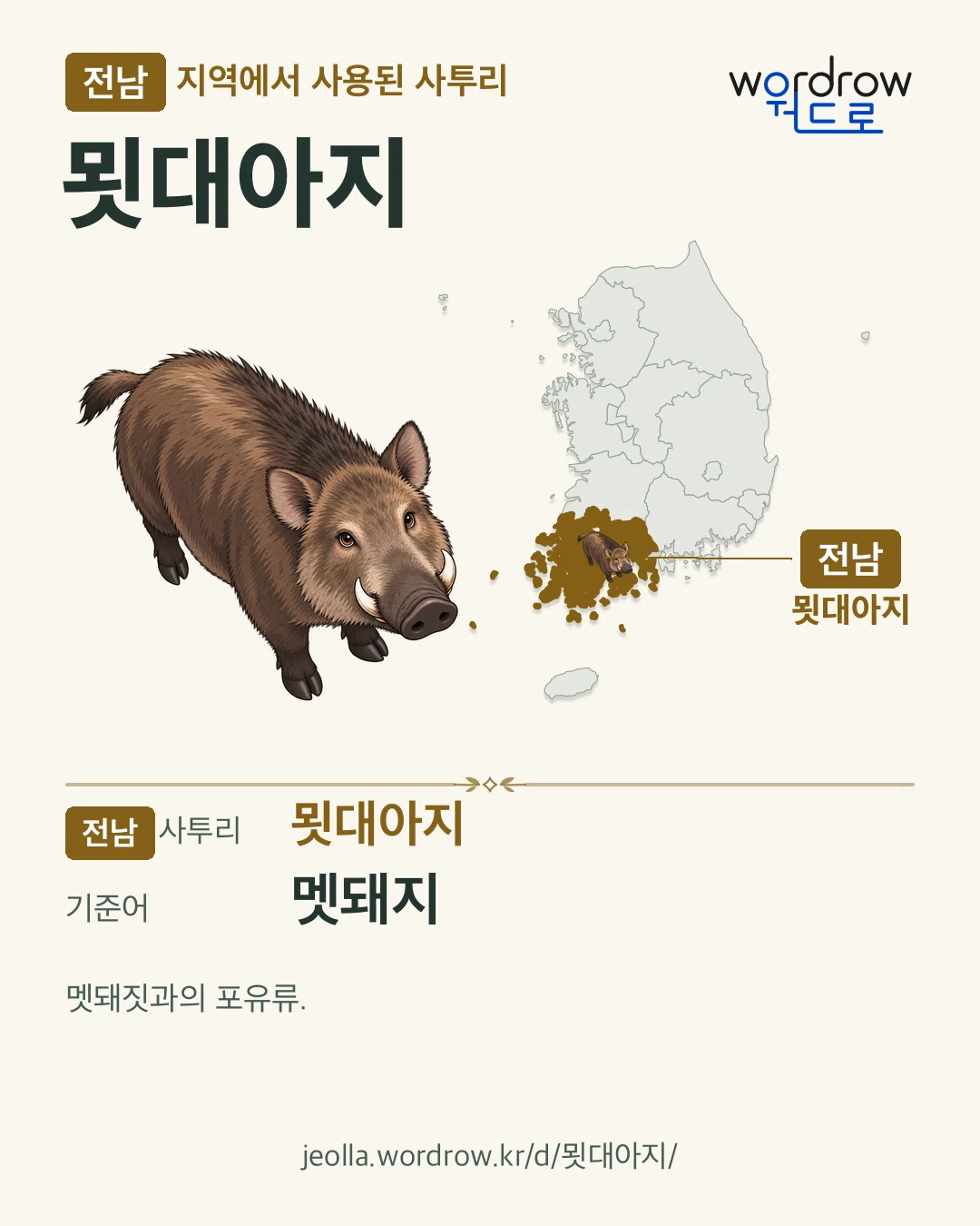전남 지역에서 사용된 사투리 ‘묏대아지’. 기준어: 멧돼지. 기록 지역을 표시한 카툰 삽화와 지도 카드.