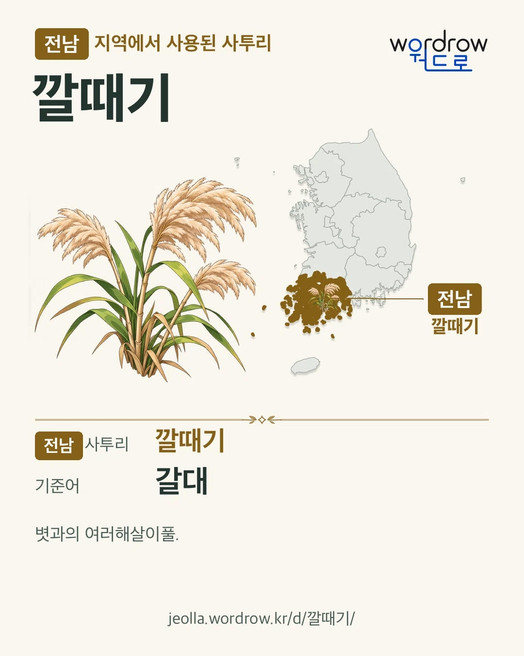 전남 지역에서 사용된 사투리 ‘깔때기’. 기준어: 갈대. 기록 지역을 표시한 카툰 삽화와 지도 카드.