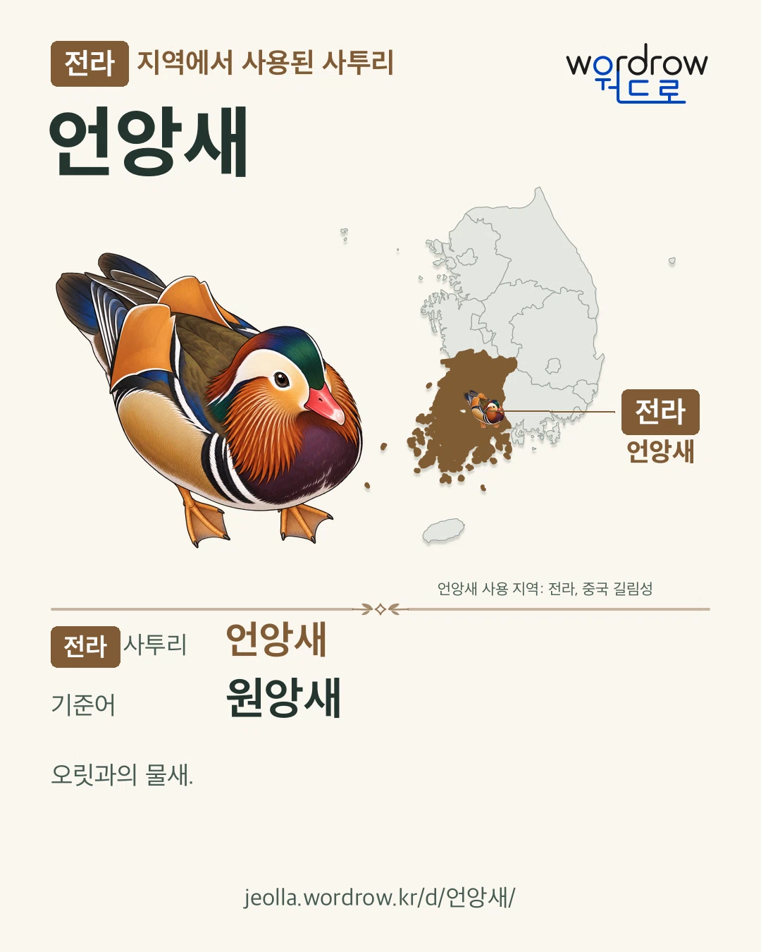 전라 지역에서 사용된 사투리 ‘언앙새’. 기준어: 원앙새. 기록 지역을 표시한 카툰 삽화와 지도 카드.
