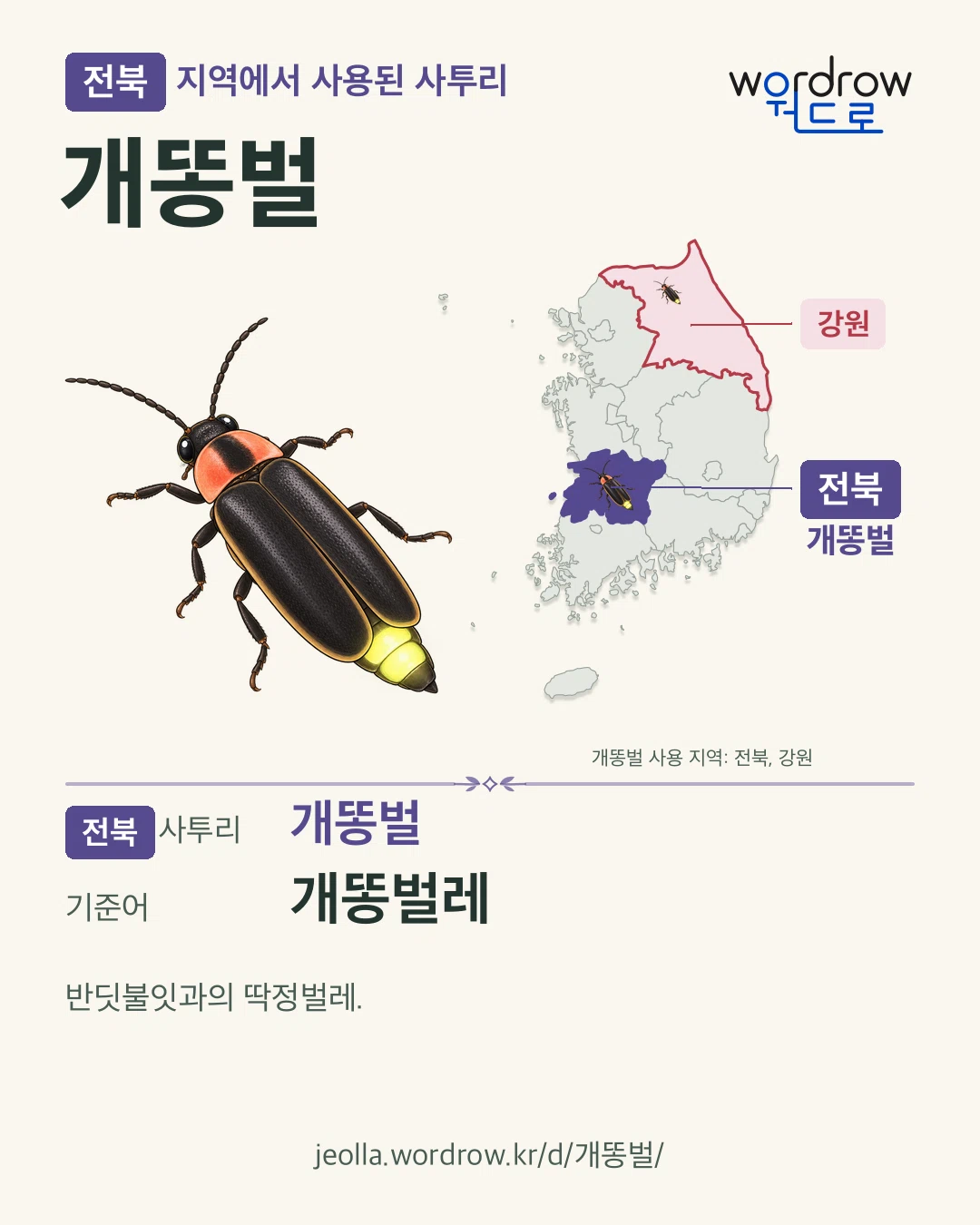 전북 지역에서 사용된 사투리 ‘개똥벌’. 기준어: 개똥벌레. 기록 지역을 표시한 카툰 삽화와 지도 카드.