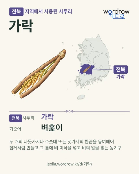 전북 지역에서 사용된 사투리 ‘가락’. 기준어: 벼훑이. 기록 지역을 표시한 카툰 삽화와 지도 카드.