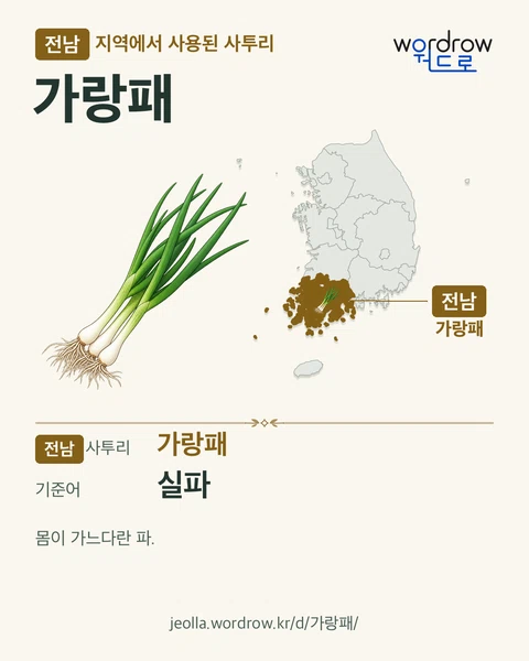 전남 지역에서 사용된 사투리 ‘가랑패’. 기준어: 실파. 기록 지역을 표시한 카툰 삽화와 지도 카드.