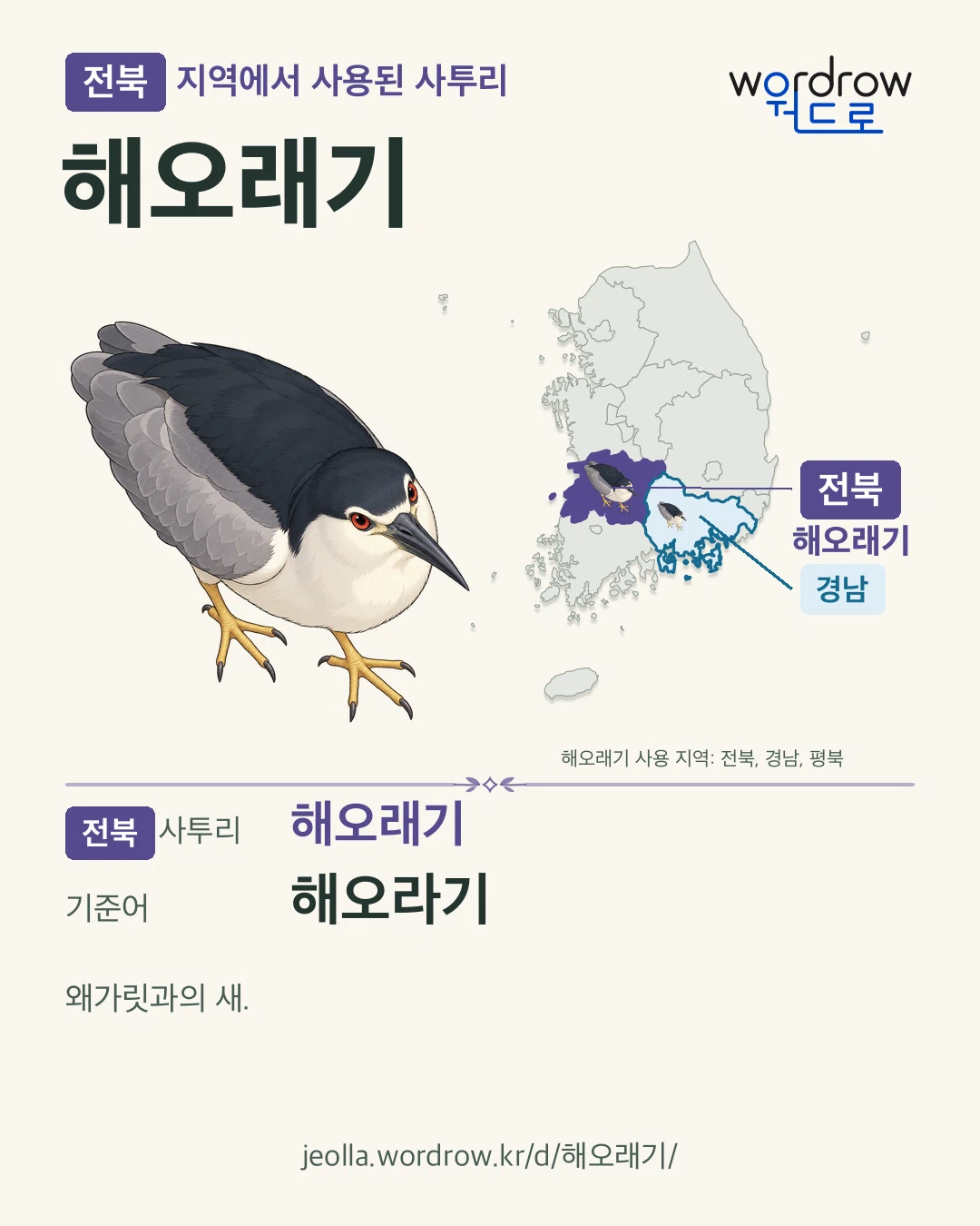 전북 지역에서 사용된 사투리 ‘해오래기’. 기준어: 해오라기. 기록 지역을 표시한 카툰 삽화와 지도 카드.