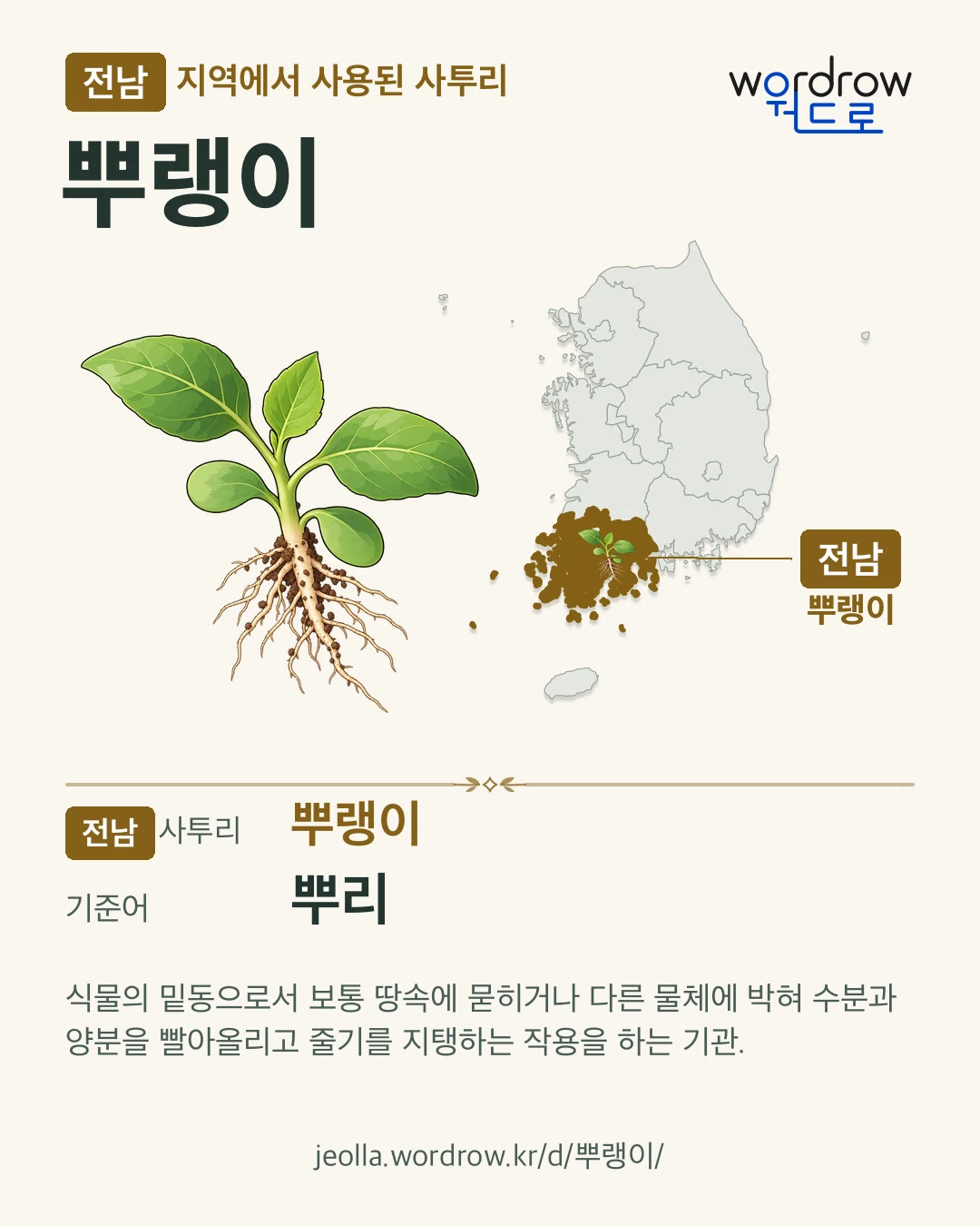 전남 지역에서 사용된 사투리 ‘뿌랭이’. 기준어: 뿌리. 기록 지역을 표시한 카툰 삽화와 지도 카드.