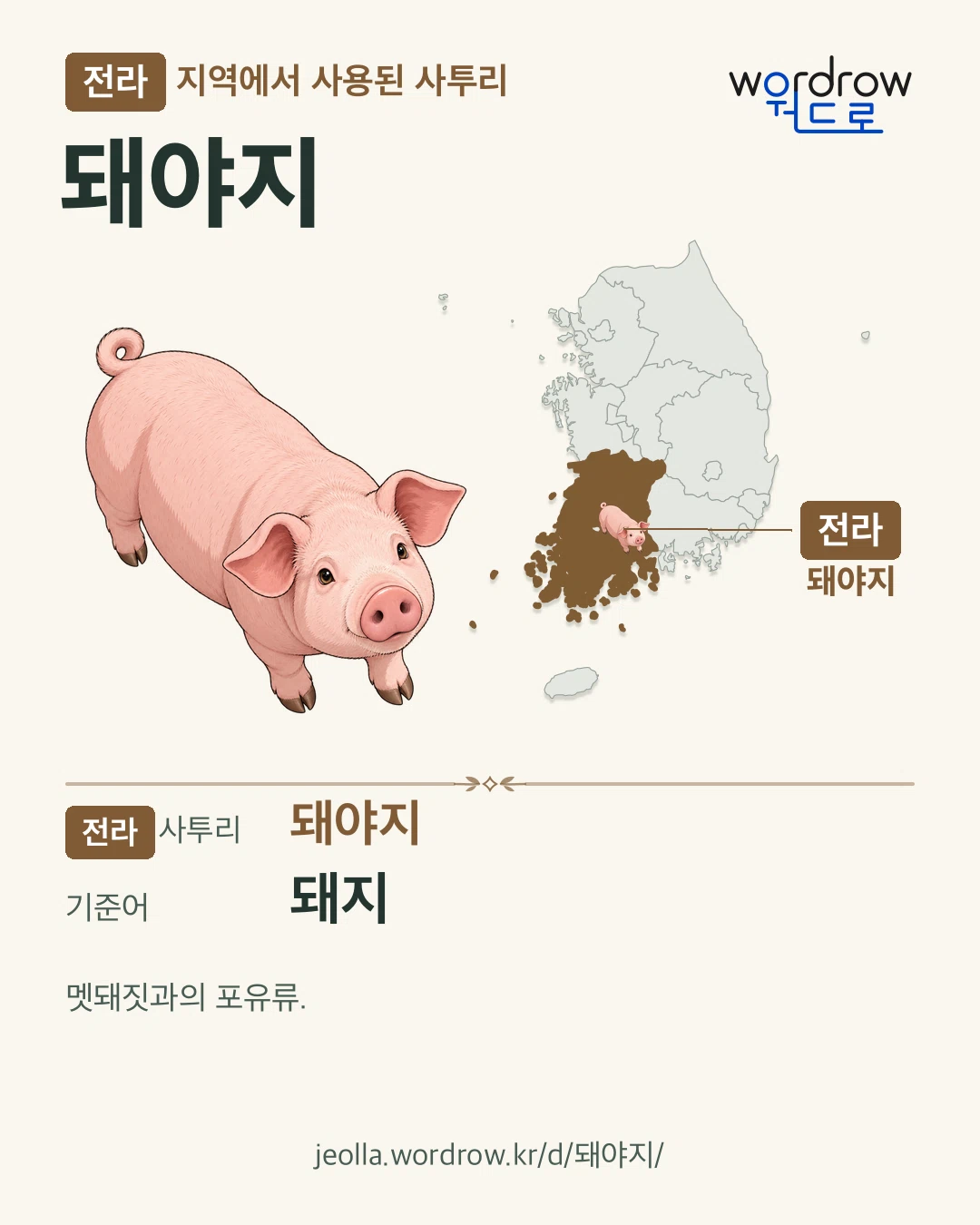 전라 지역에서 사용된 사투리 ‘돼야지’. 기준어: 돼지. 기록 지역을 표시한 카툰 삽화와 지도 카드.